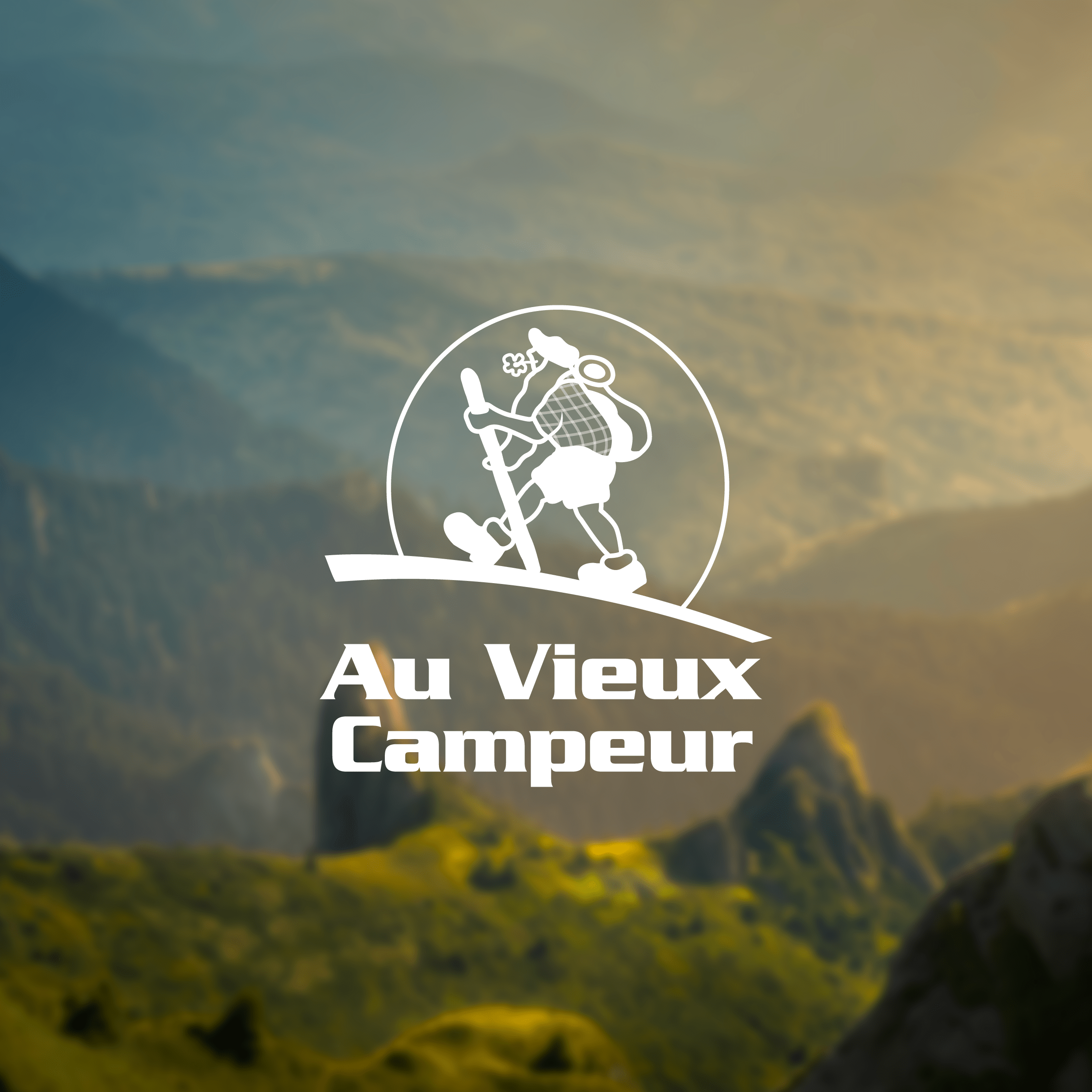 Formats webp_projets et vignette_Plan de travail 1