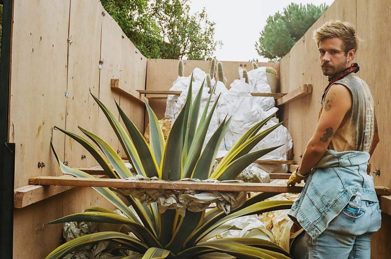 Studio John Sharp - Download Amazing Nature Art | 4K