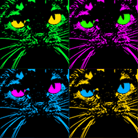 four-square pop art catface surface pattern repeat design by shelli