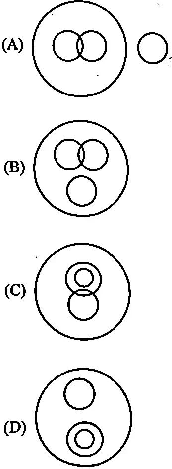 Test 02 For Vdo Vpdo Pdf - City Illustration Collection - 4K Quality