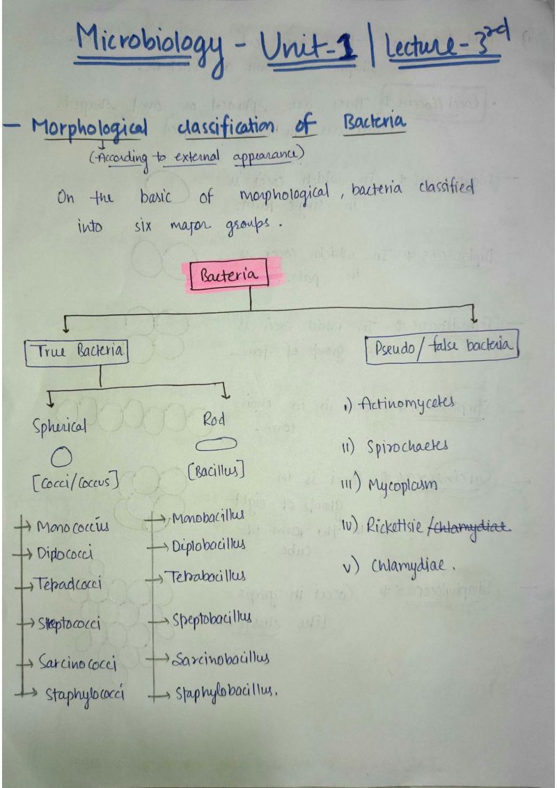 Solution Medical Microbiology Handwritten Class Notes Bacteria Example - Desktop Dark Images for Desktop