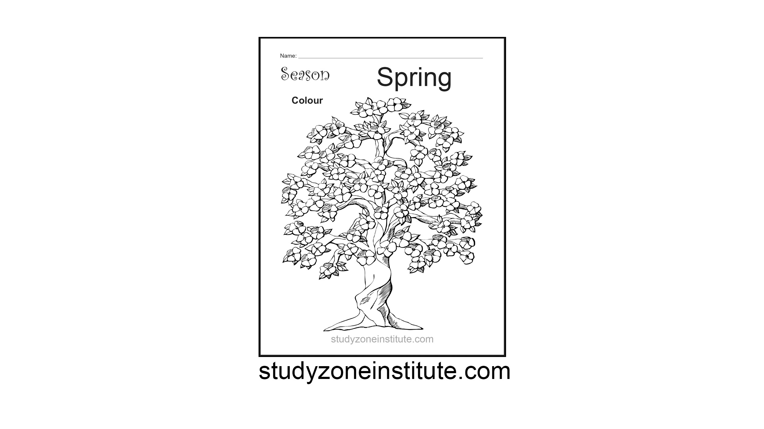 Spring Season Worksheet