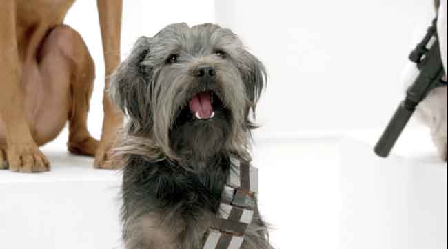 The Bark Side Super Bowl Ad