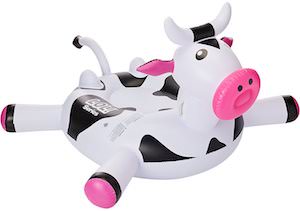 inflatable cow pool float