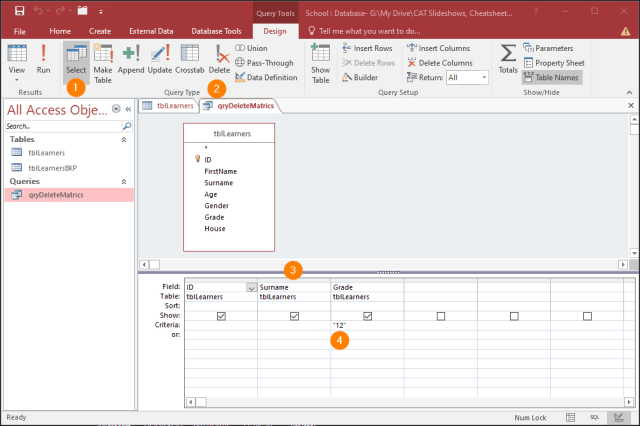 A DELETE query in Microsoft Access – stylus