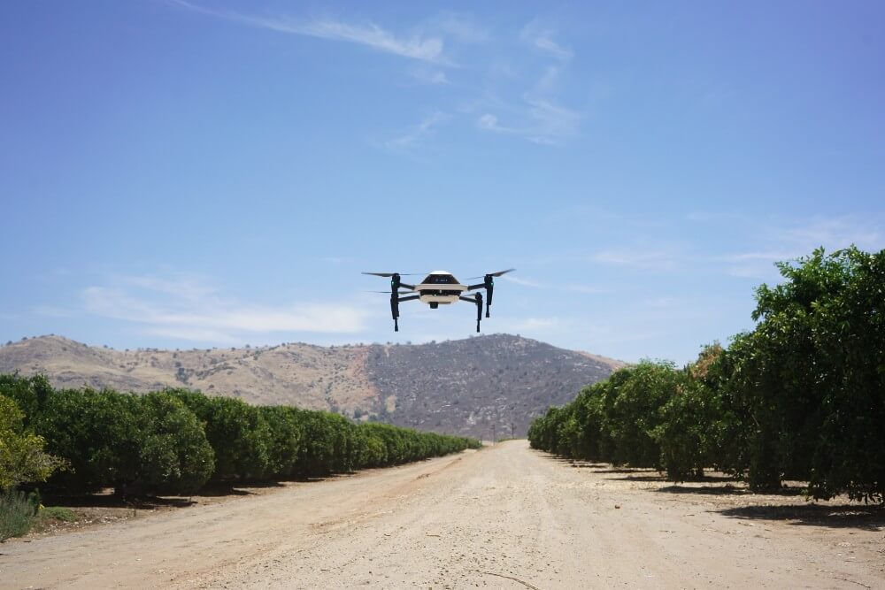 blue-whale-robotics.jpeg?fit=300%2C200&s