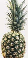 Pineapple juice benefits for cough, asthma