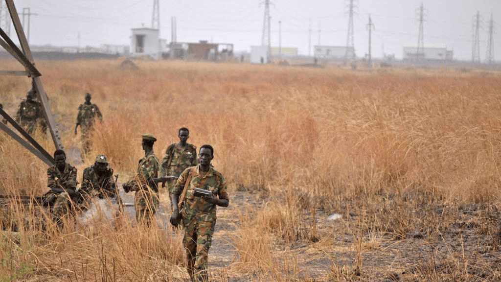 “No victory in self-destruction”-Dok Community appeals for immediate peace in Leer