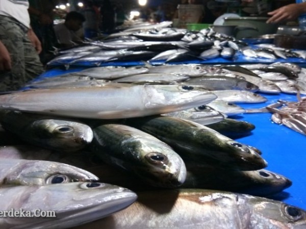 Ikan yang Dijual di Kendari.