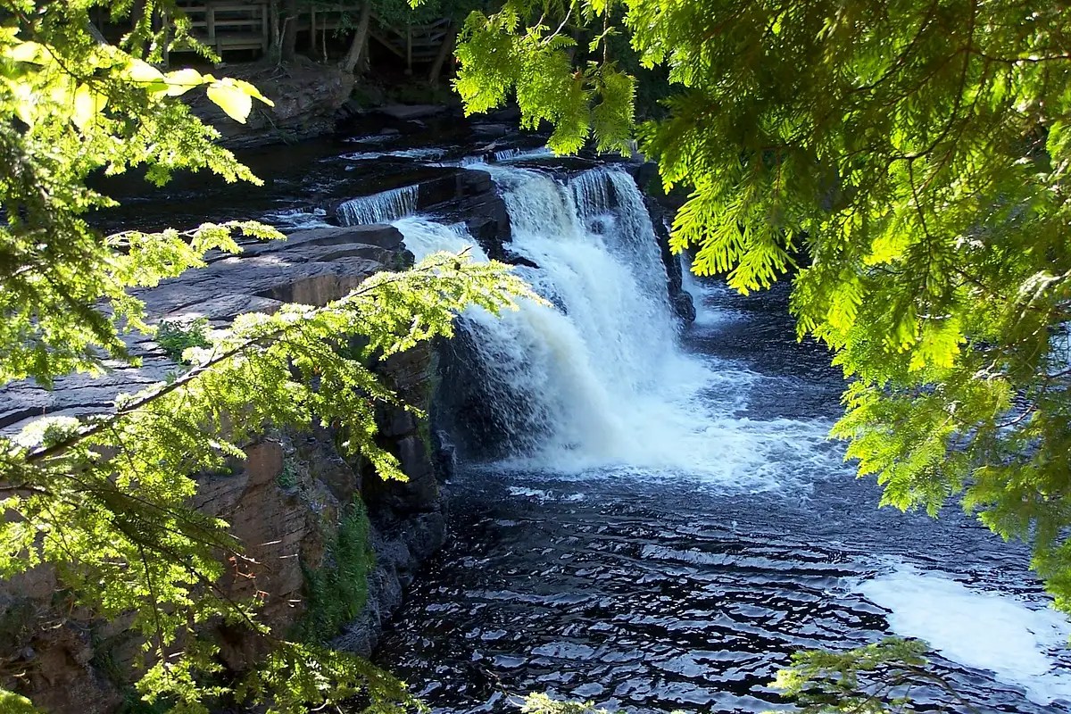 Disney's fort wilderness resort & campground welcomes two dogs of any size for an additional fee of $5 per night in campsites, and $50 per night in cabins. Porcupine Mountains Wilderness State Park Ontonagon