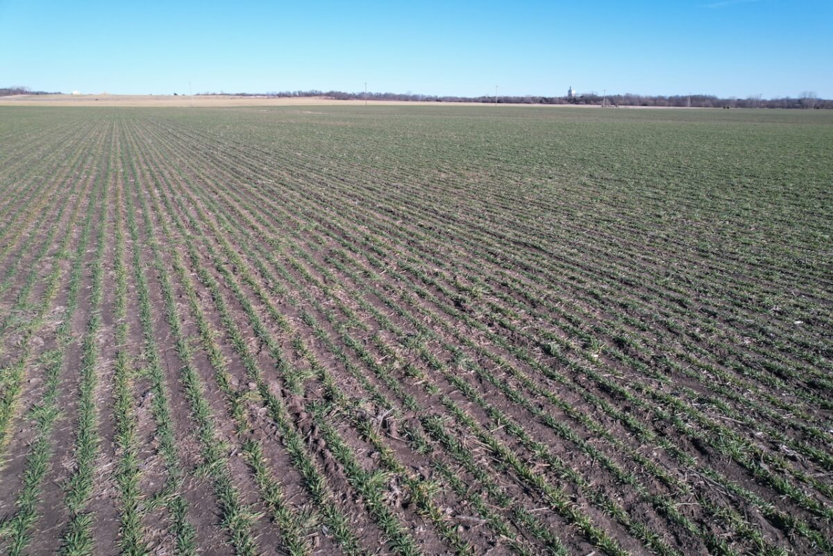 Osage County, Kansas Land Auction, Tract 19 212.65 Acres Tillable