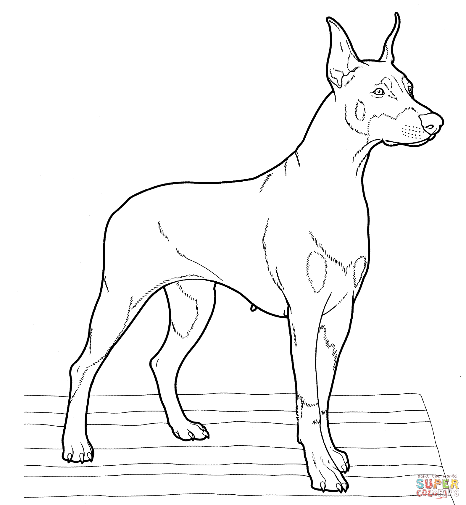 Kleurplaat van een hond printen leuk voor kids. Dobermann kleurplaat | Gratis Kleurplaten printen