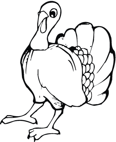 Some cities have parades and cultural performances. Dibujo De Pavo Joven Para Colorear Dibujos Para Colorear Imprimir Gratis