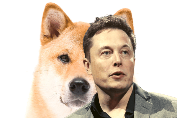 139 elon musk png transparent images. Elon Musk Will Support Doge On One Condition Supercryptonews