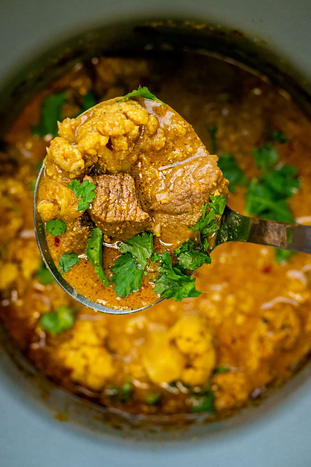 Slow cooker lamb curry (low carb)