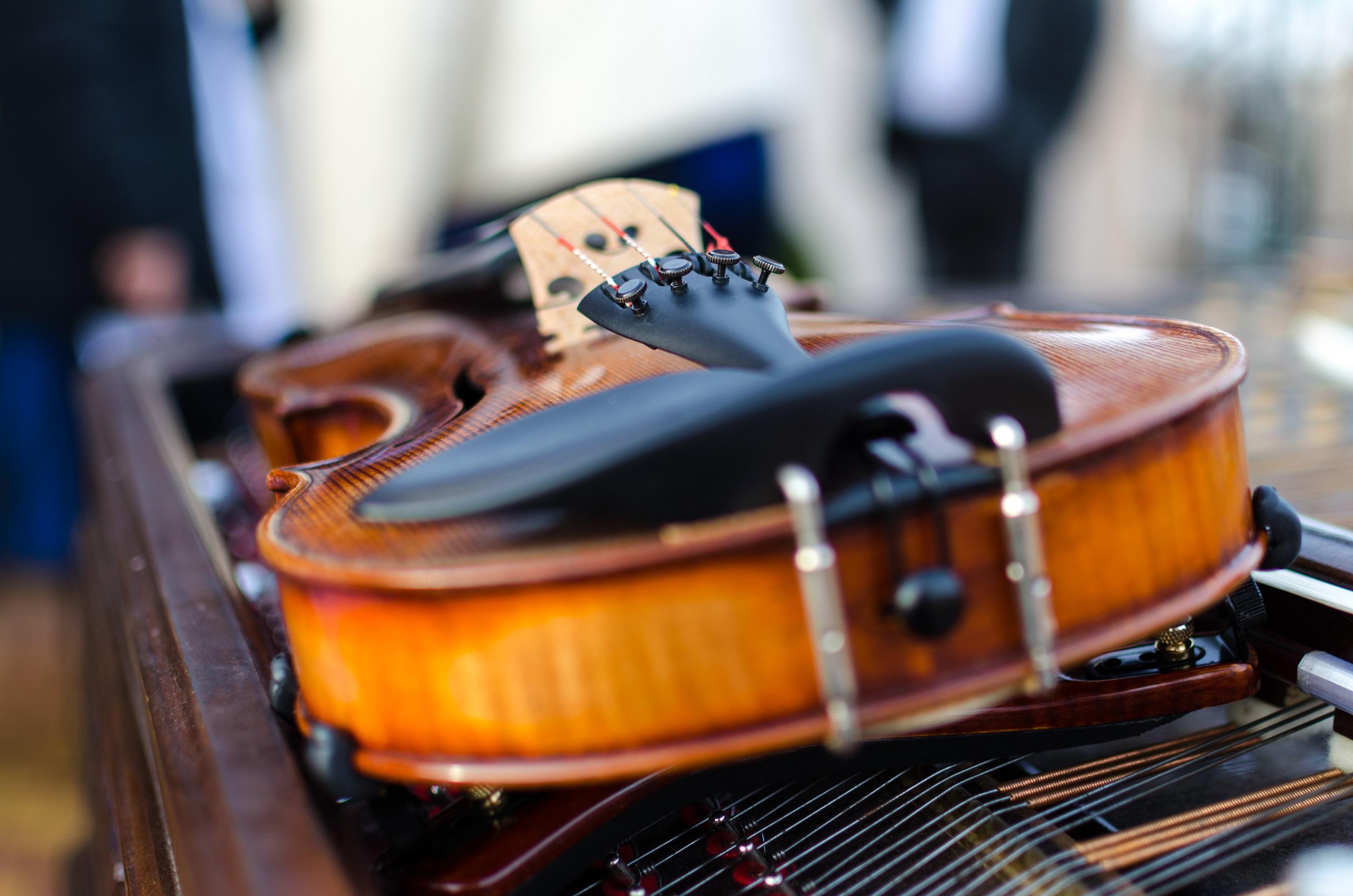 Violin facts: everything you need to know about the violin