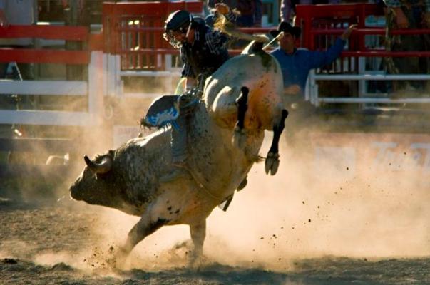 Pro Rodeo Tickets Contest