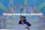 Bow Seat Ocean Awareness Contest