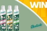 Sunrise Batiste Competition
