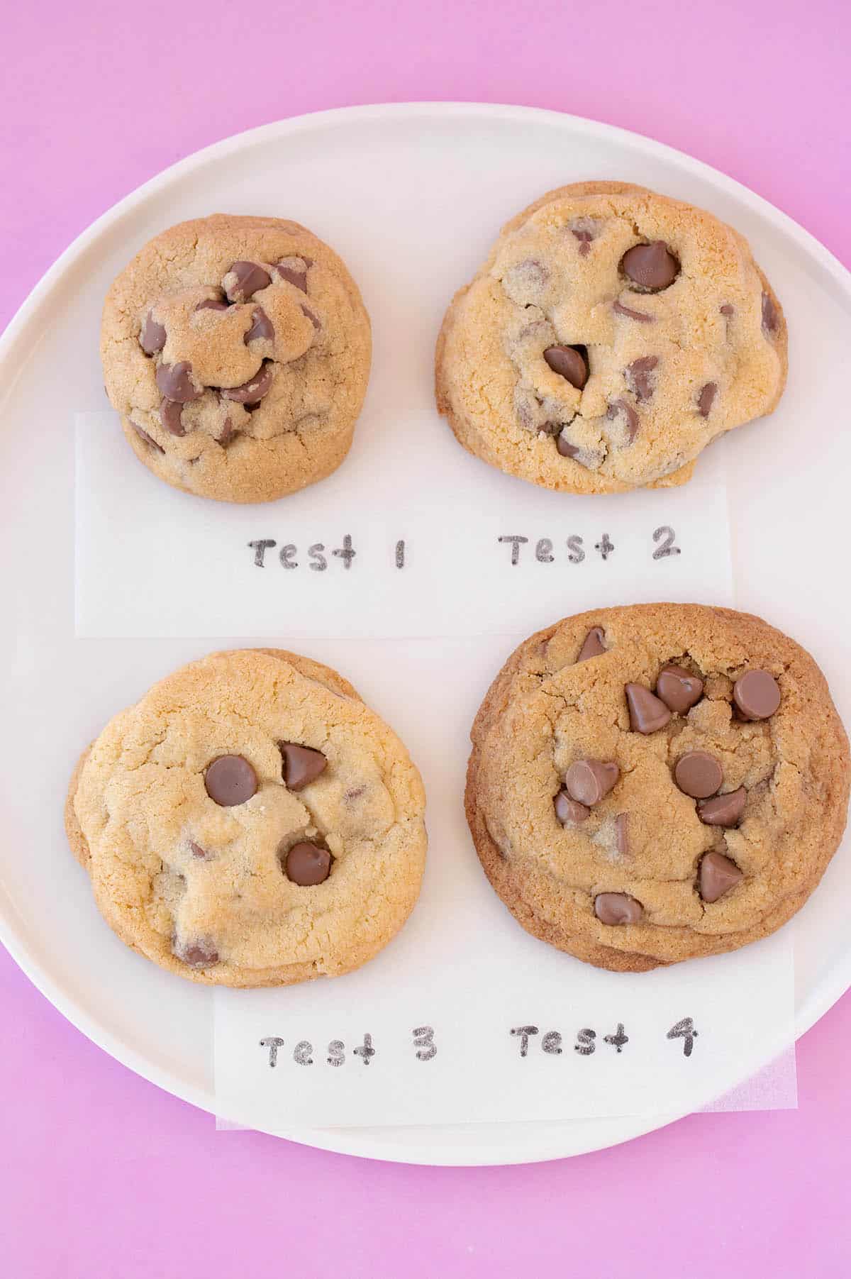 small batch chocolate chip cookies makes six - sweetest menu on cookie recipes small batch grams