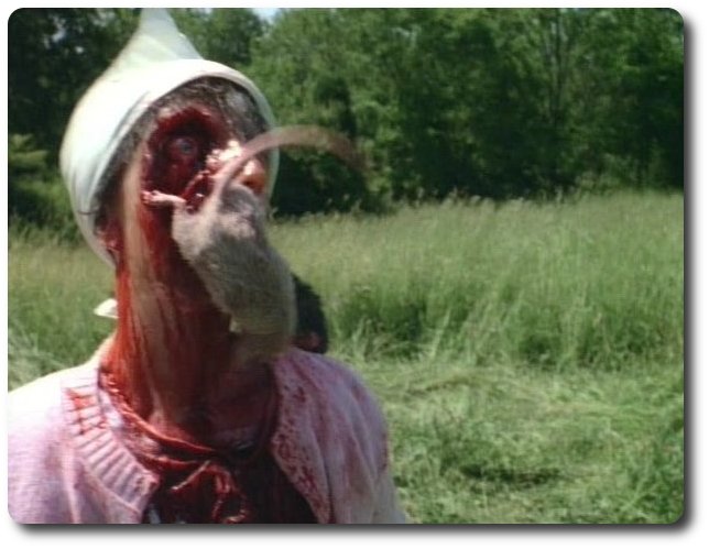 BEWARE CHILDREN AT PLAY