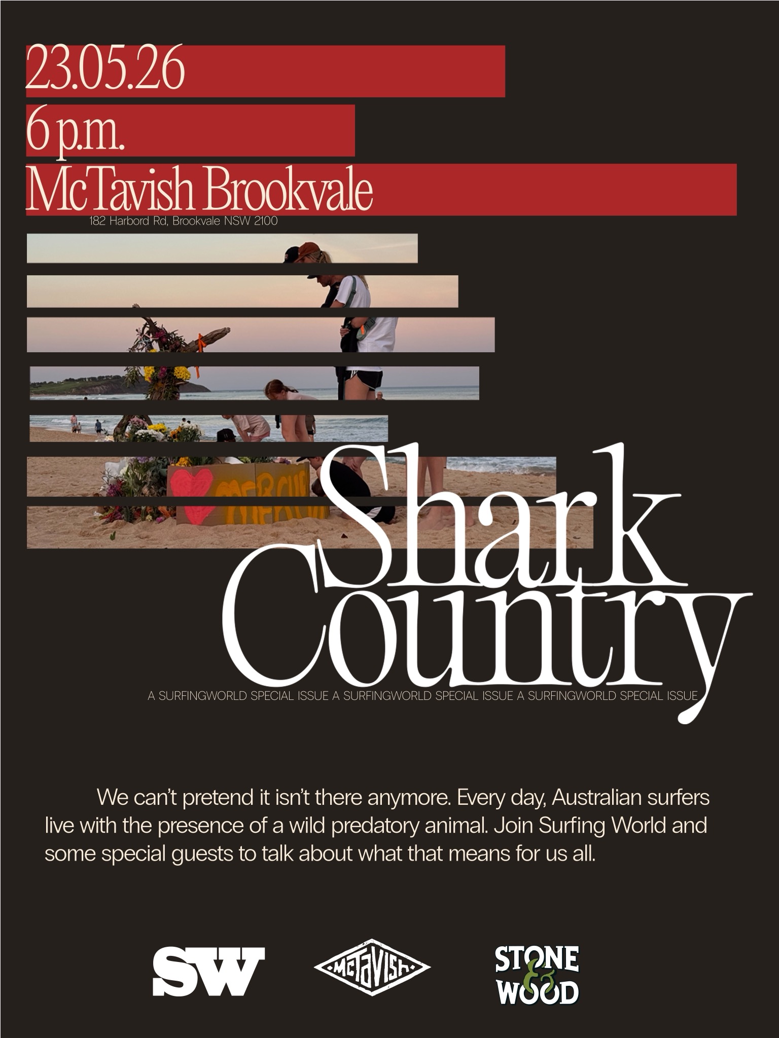 Surfing in Shark Country: A Conversation with Australian Surfers (2026)
