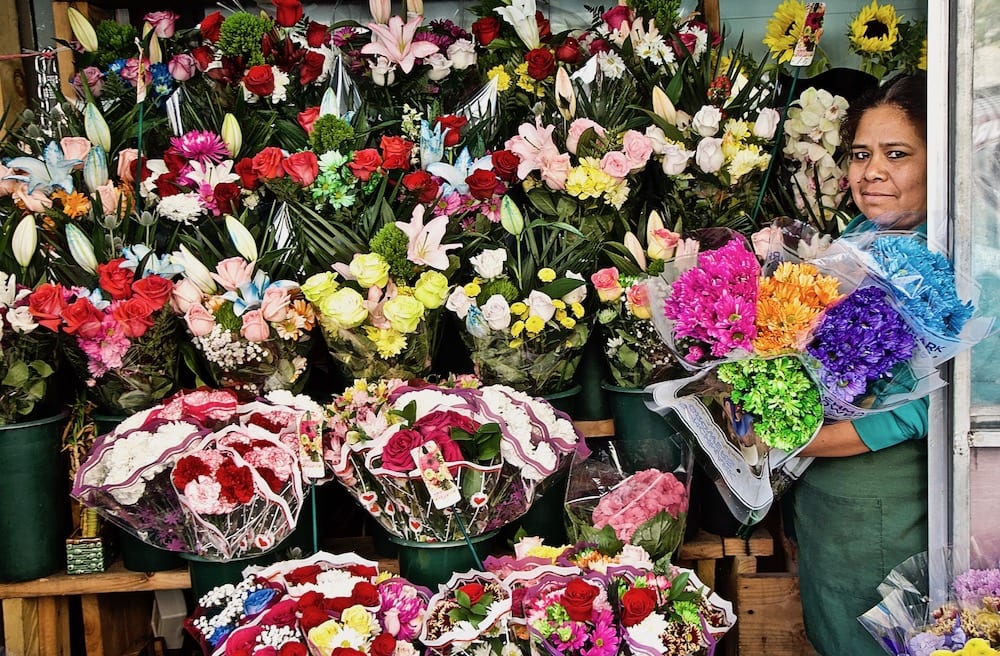 Flower Stand Immigrant Owner (19 Years) The Bronx, NYC