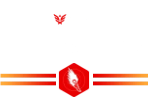 See all my information security articles. Red Team Synack