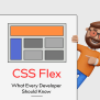 CSS Flex: What Every Developer Should Know