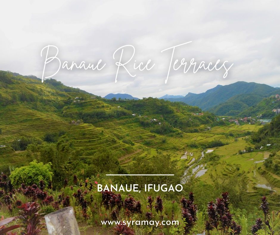 Banaue Rice Terraces What You Need To Know GPJJO Banaue Rice Terraces 