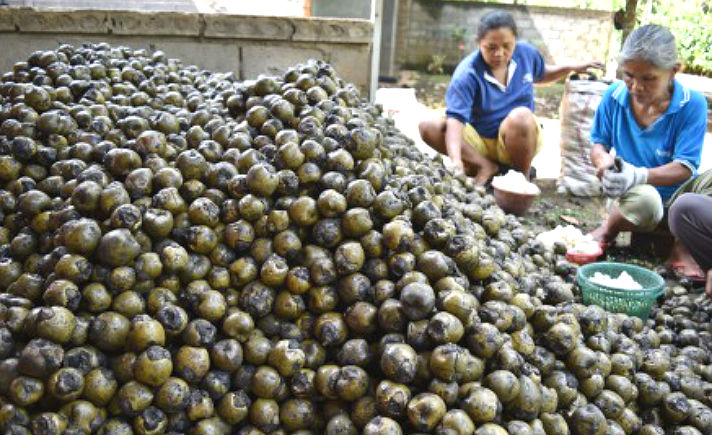 Kolang Kaling Terbuat Dari