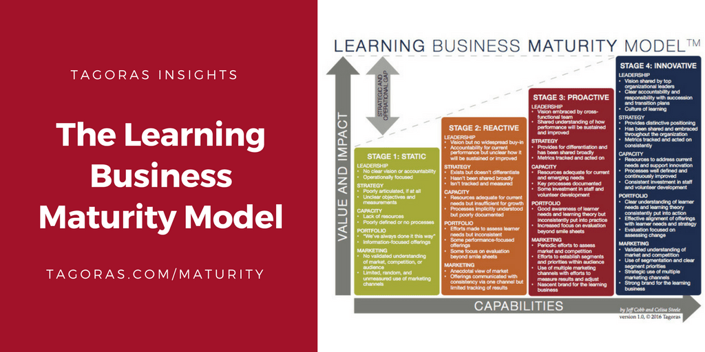 What is a business model and how does it affect strategy? TagorasLearning Business Maturity Model - How Mature Are You?
