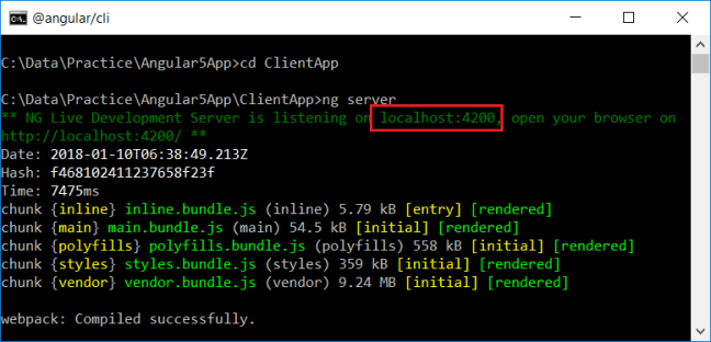 Angular Server as a Standalone Process