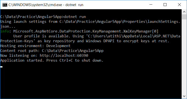 dotnet run command not executing ng serve