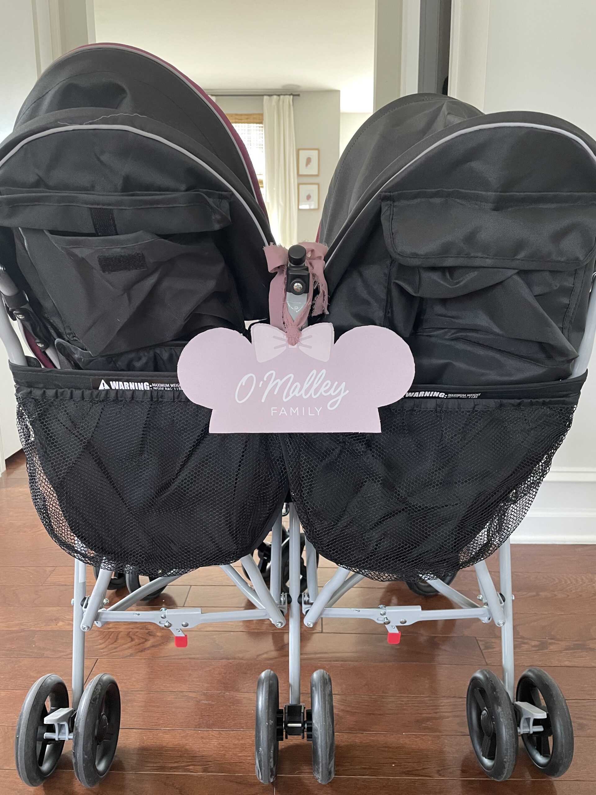 The Double Stroller You Need For Disney + Free Customizable Stroller Sign