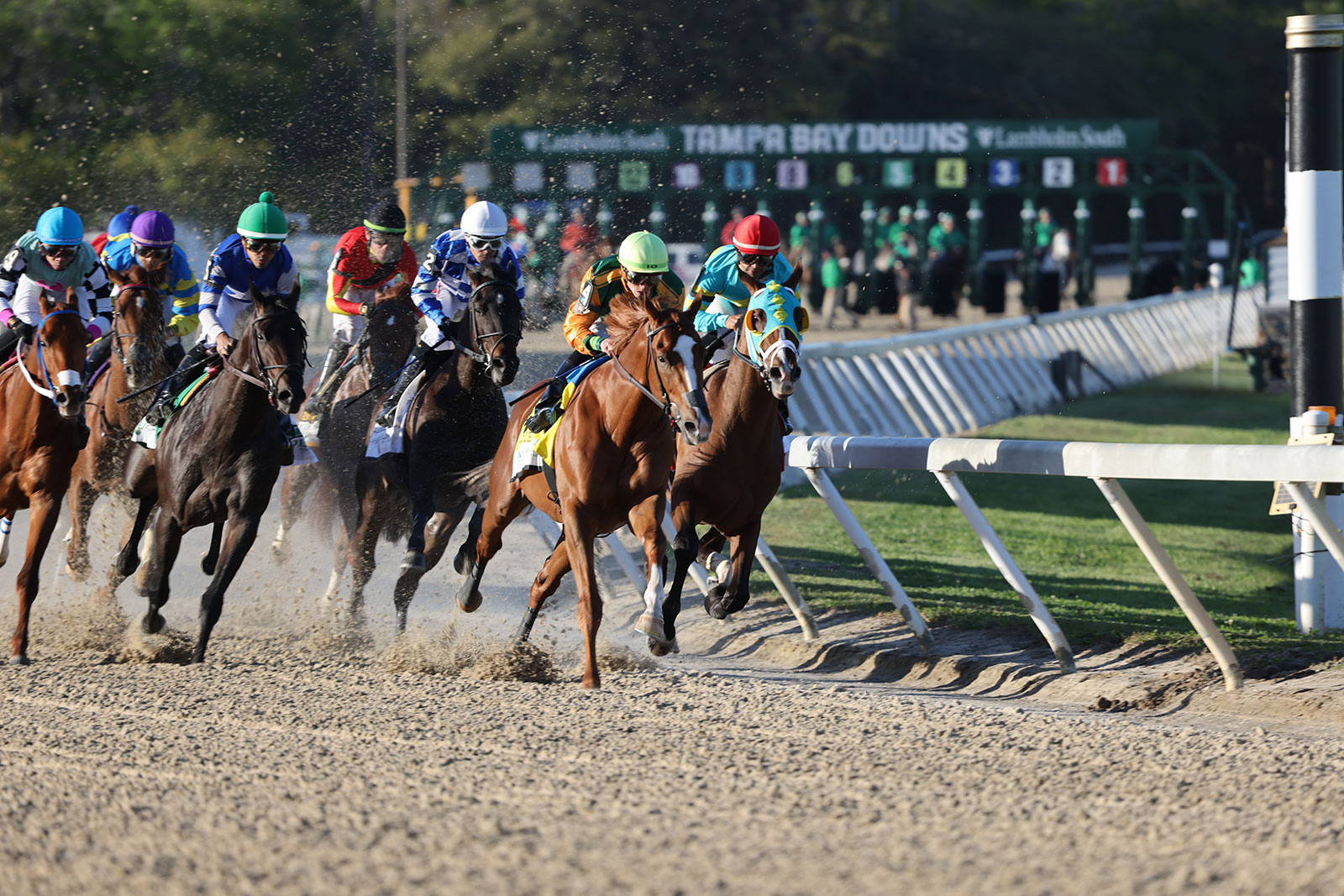 Horse Race Tracks In Florida Hr Resources Corneround 