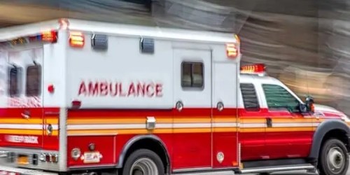 Two-Year-Old Killed In Dog Attack At Unlicensed Georgia Daycare While Sitter Napped
