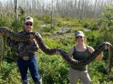 Hundreds Of Burmese Pythons Removed During 2022 Florida Python Challenge