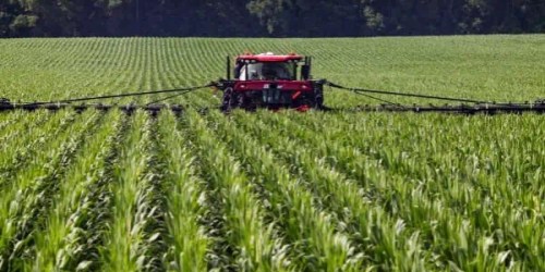 Government Shutdown Threatens Food Supply, Florida Farm Bureau Urges Senate Action