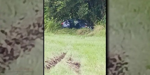 Apopka Man Dies After Medical Emergency Leads To Fatal I-4 Crash In Hillsborough County