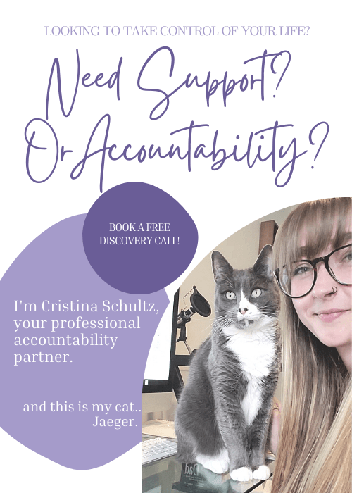 Professional Accountability Partner
