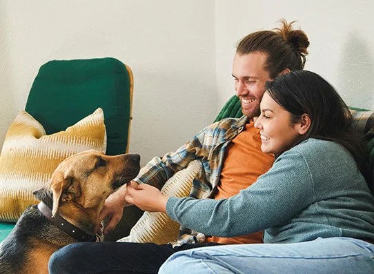 Certificate of deposit calculator