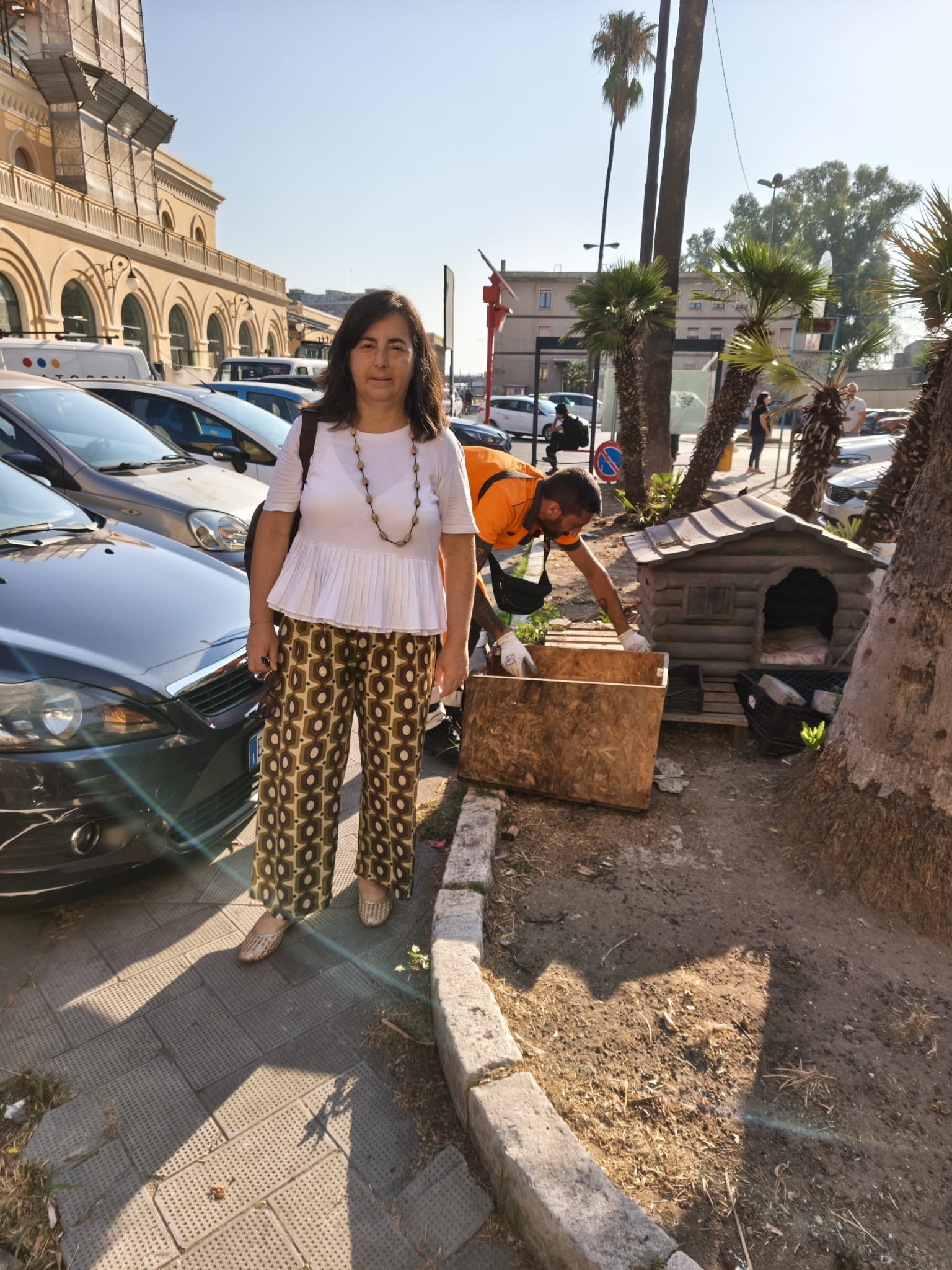 Taranto, via alla rimozione dei rifugi di fortuna per le colonie feline nelle aree pubbliche