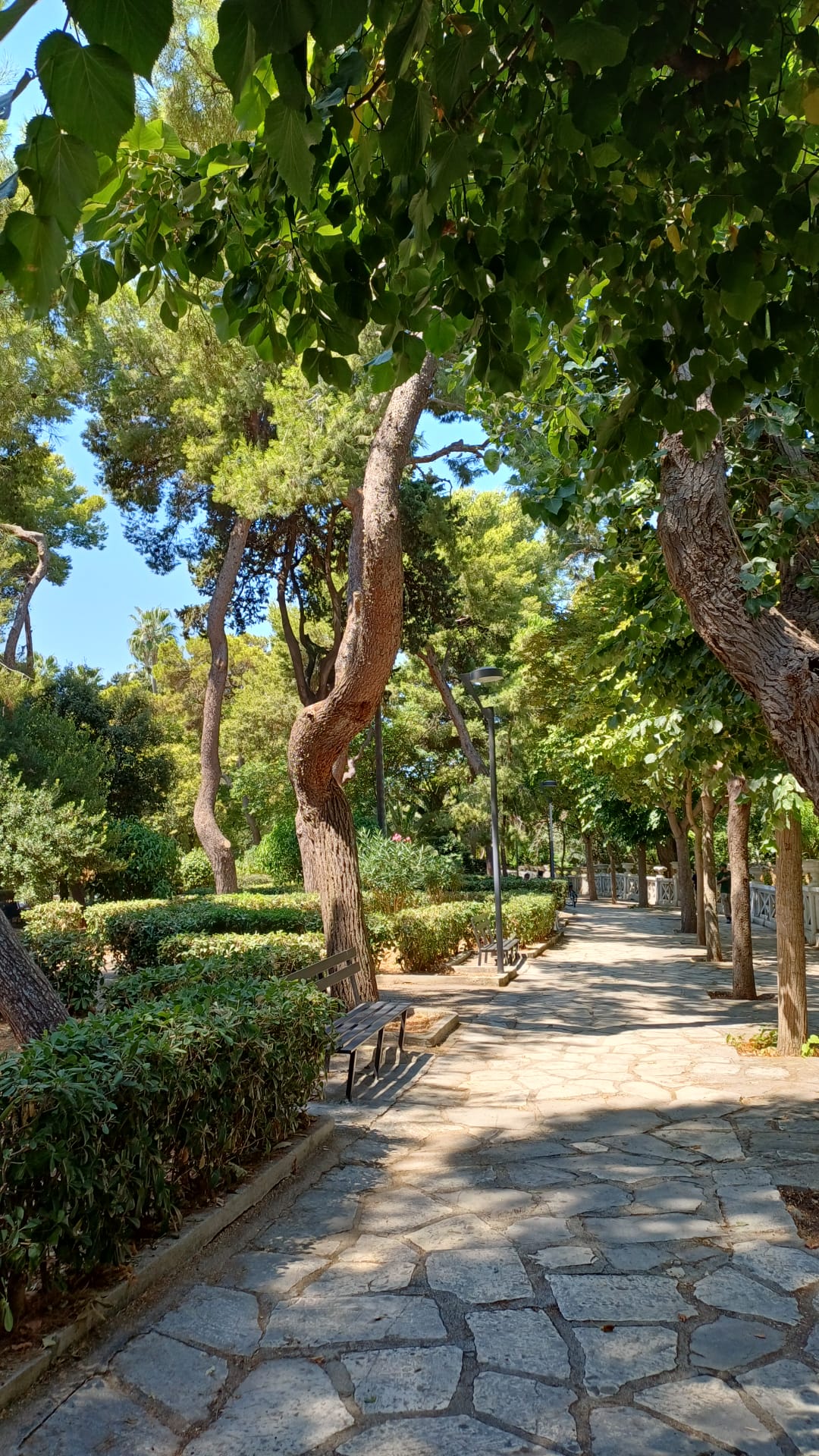 Villa Peripato, Fratelli d’Italia attacca: “Degrado, buio e vandalismi nel principale parco di Taranto”