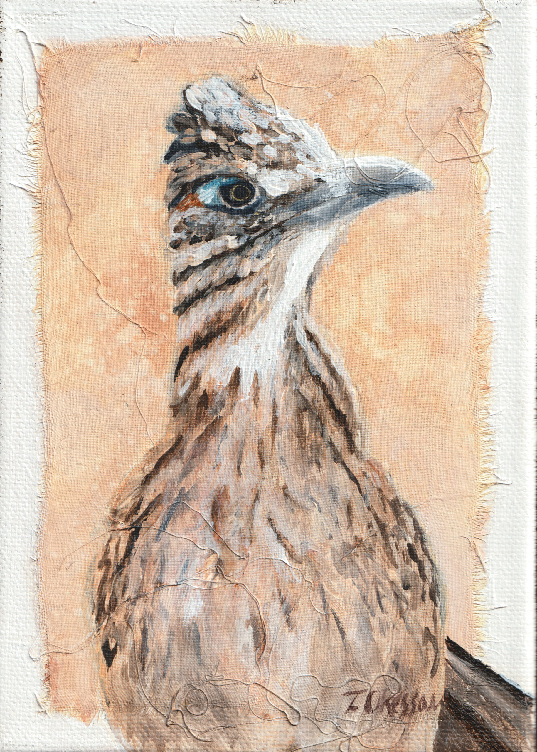 Roadrunner Study no. 1: Original Painting