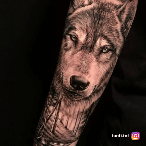 Tatuaggio Lupo, Significato, Storia Ed Idee - Tattoolicious 500_x_500_png