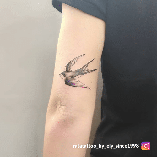 Tatuaggio Rondine, Significato, Storia Ed Idee - Tattoolicious 500_x_500_png