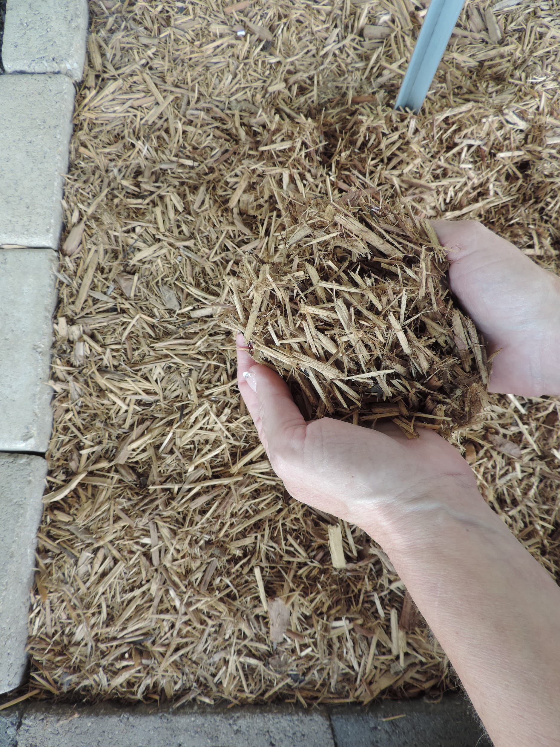 Cedar-Mulch.jpg?fit=1875,2500&