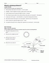 what is photosynthesis science printable grades 6 12 teachervision