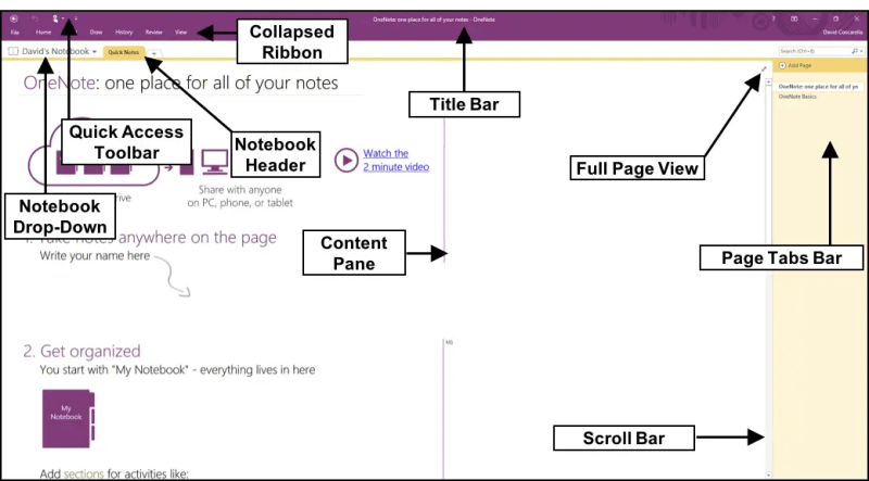 Microsoft Onenote Tutorial 2021 Pharmacylasopa - Professional Nature Illustration - Ultra HD